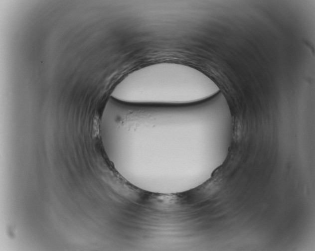 X0000099530478200805160729
