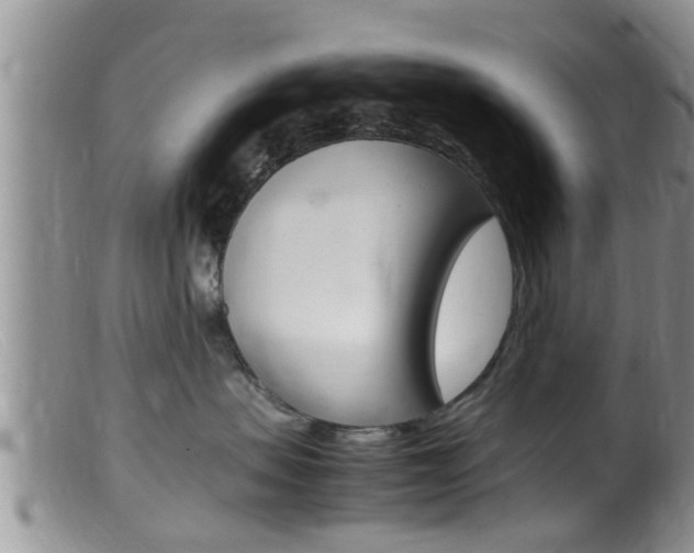 X0000099530479200805160729