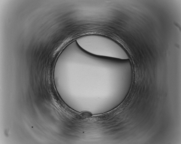 X0000099530482200805160729
