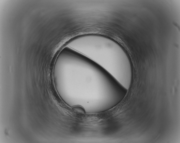 X0000099530483200805160729