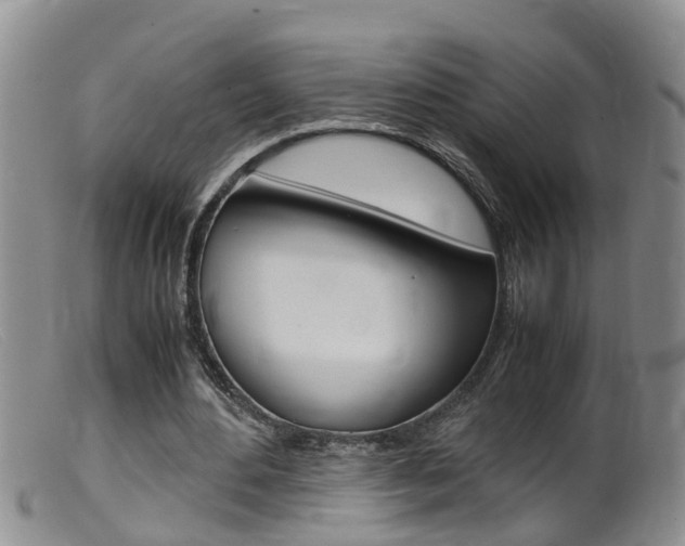 X0000099530484200805160729