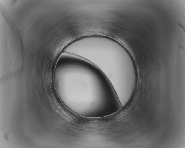 X0000099530485200805160729
