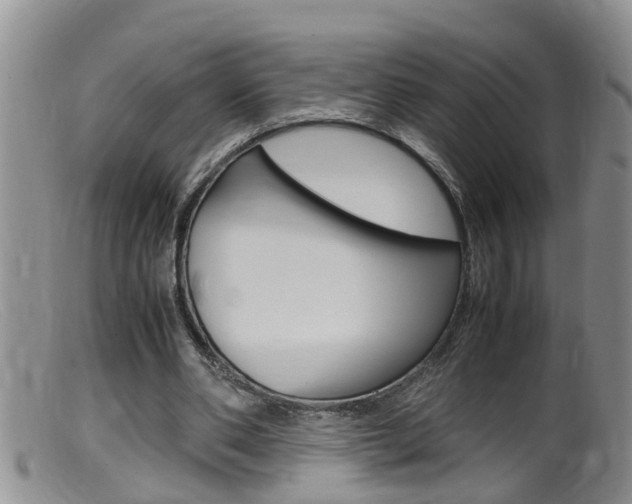 X0000099530486200805160729