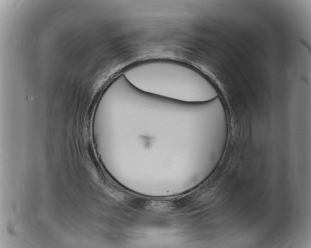 X0000099530487200805160729