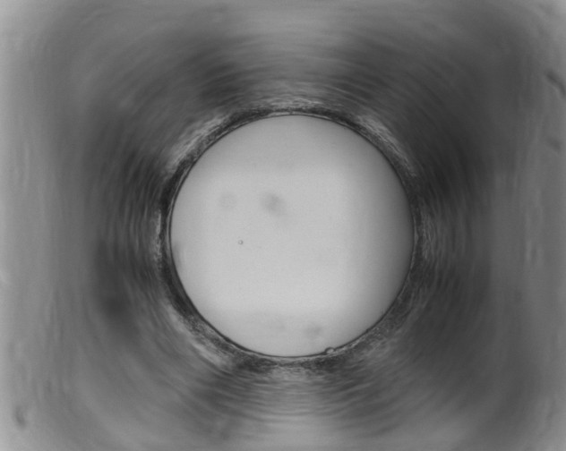 X0000099530490200805160729