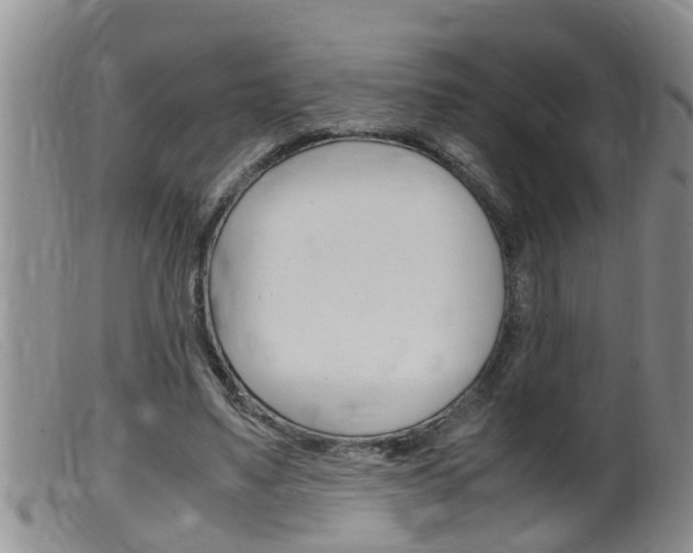X0000099530491200805160729