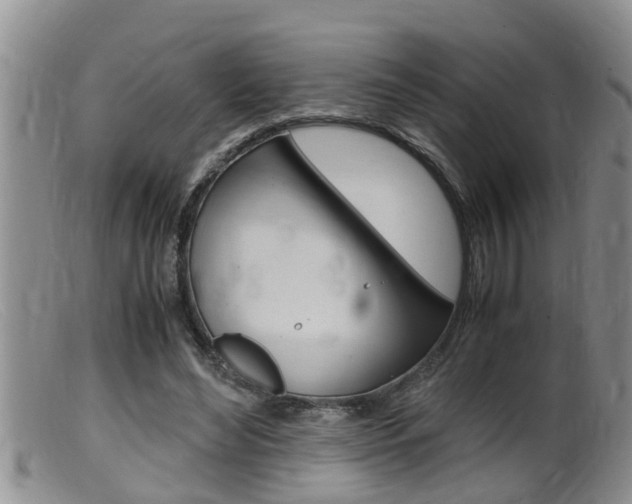 X0000099530492200805160729