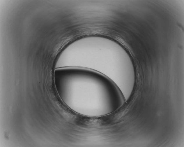 X0000099530493200805160729