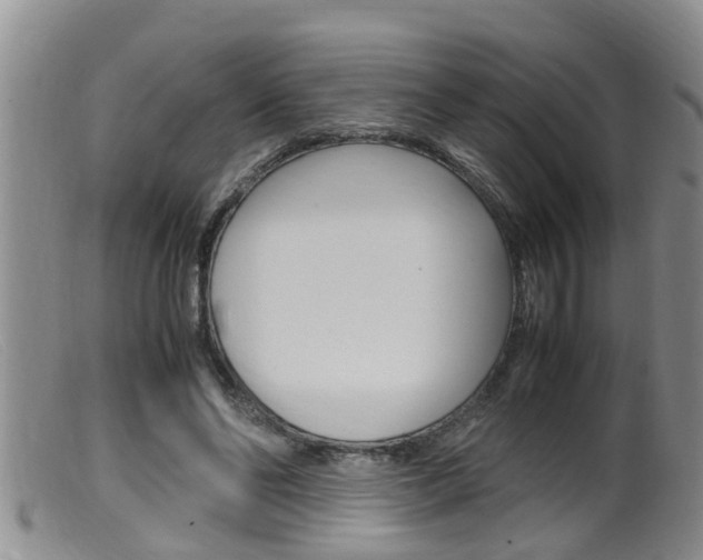 X0000099530494200805160729