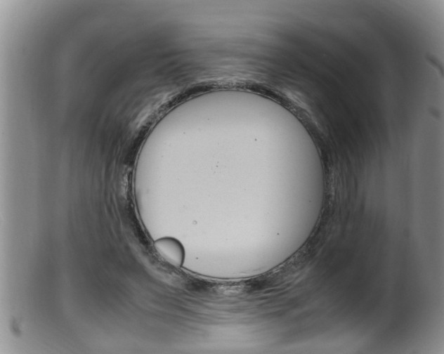 X0000099530495200805160729