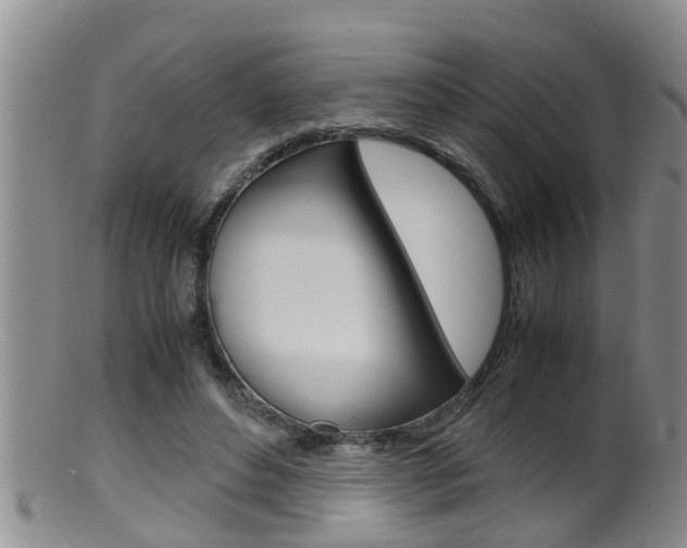 X0000099530496200805160729