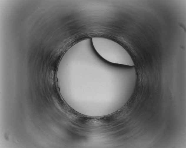 X0000099530498200805160729