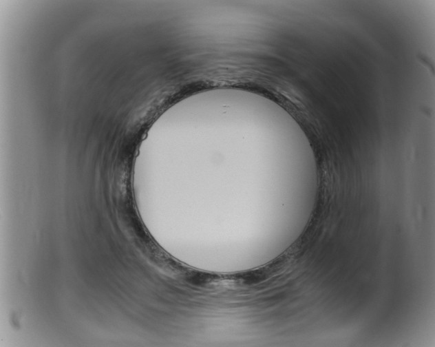 X0000099530499200805160729
