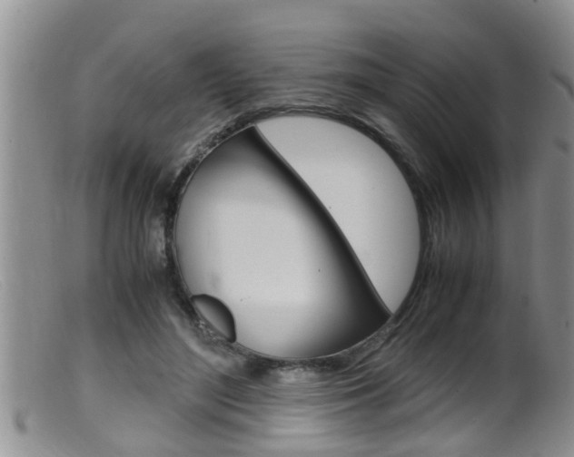 X0000099530500200805160729