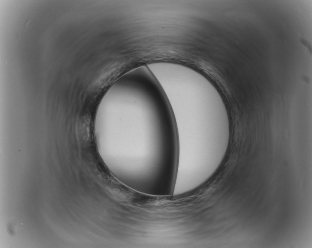 X0000099530501200805160729