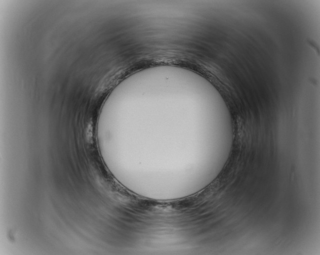 X0000099530502200805160729