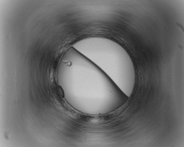 X0000099530504200805160729