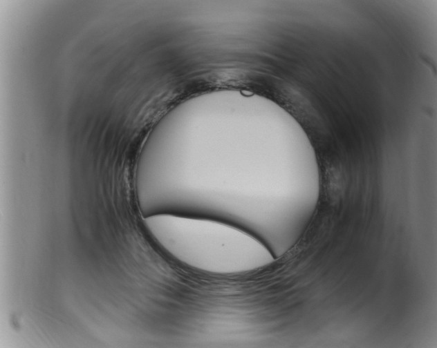 X0000099530506200805160728