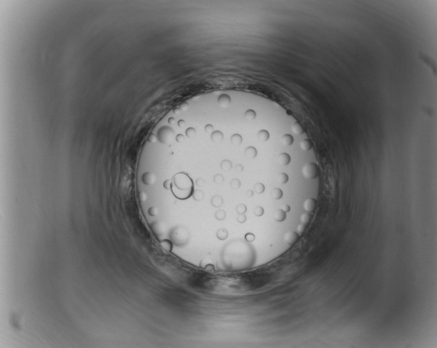 X0000099530507200805160728