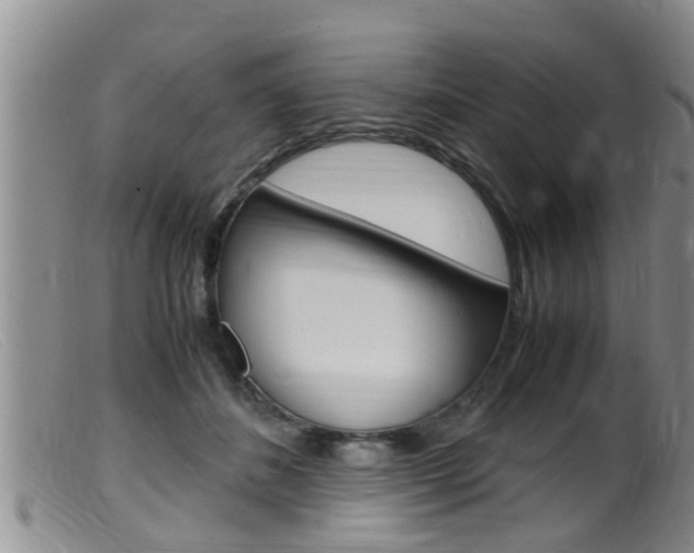 X0000099530508200805160728