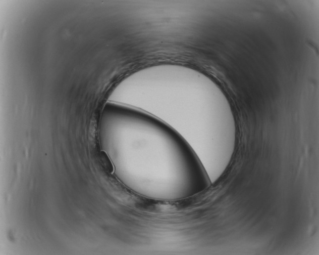 X0000099530509200805160728
