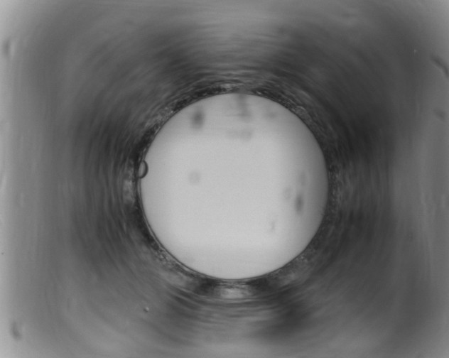 X0000099530510200805160728