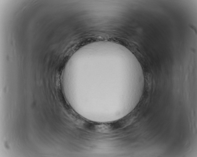 X0000099530511200805160728