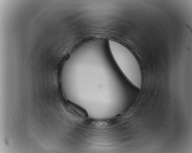 X0000099530512200805160728
