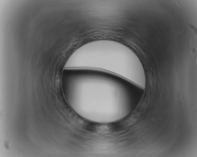 X0000099530513200805160728