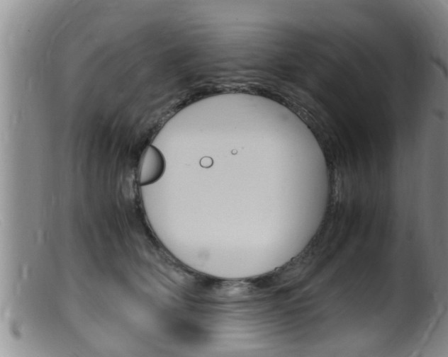 X0000099530514200805160728