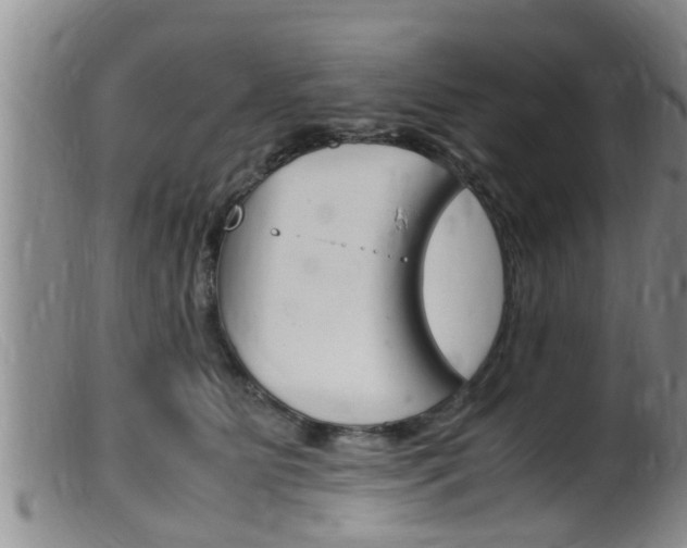 X0000099530515200805160728