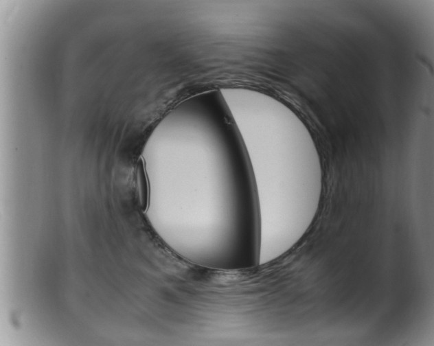 X0000099530521200805160728