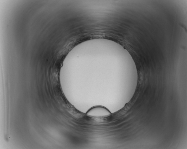 X0000099530522200805160728