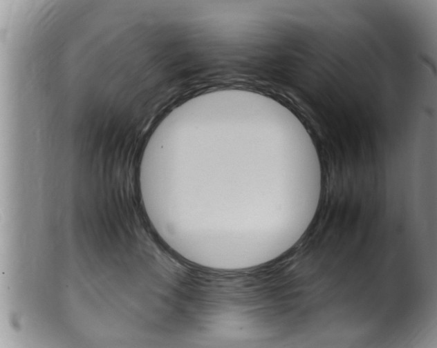 X0000099530524200805160728