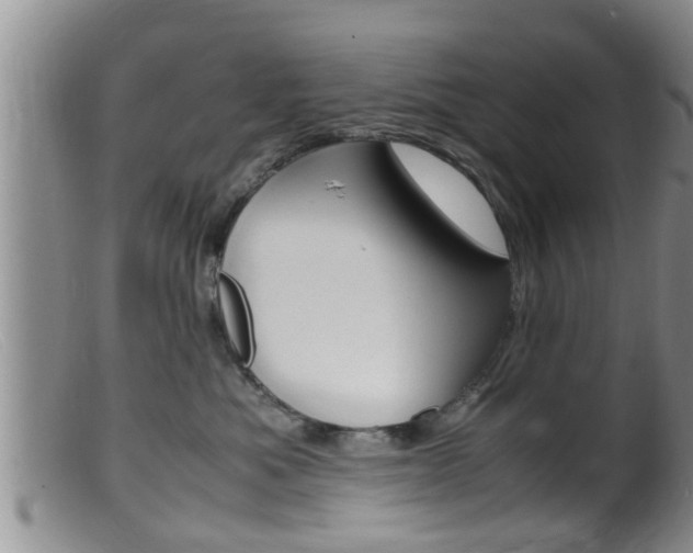 X0000099530525200805160728