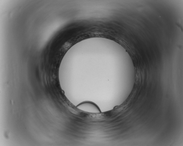 X0000099530526200805160728