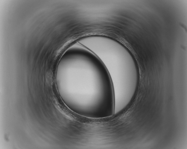 X0000099530530200805160727