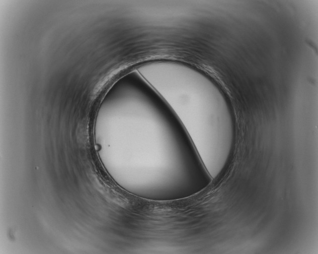 X0000099530531200805160727