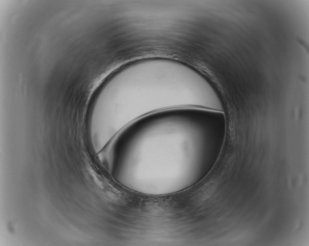 X0000099530532200805160727