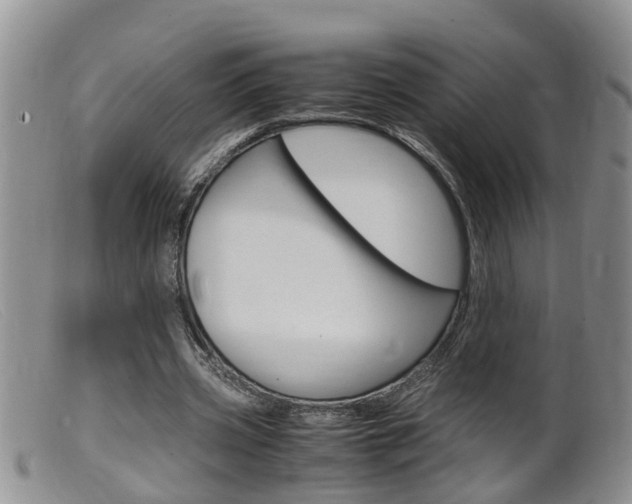 X0000099530533200805160727