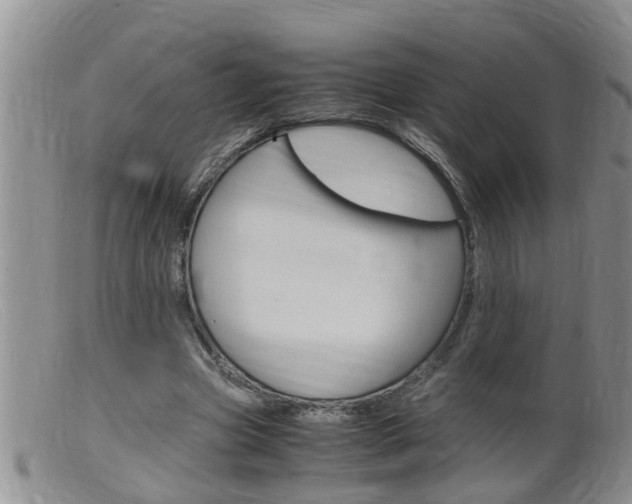 X0000099530537200805160727