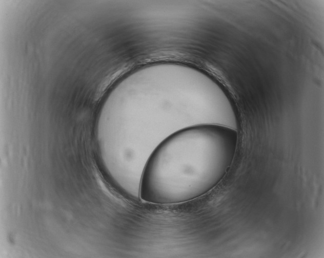 X0000099530538200805160727