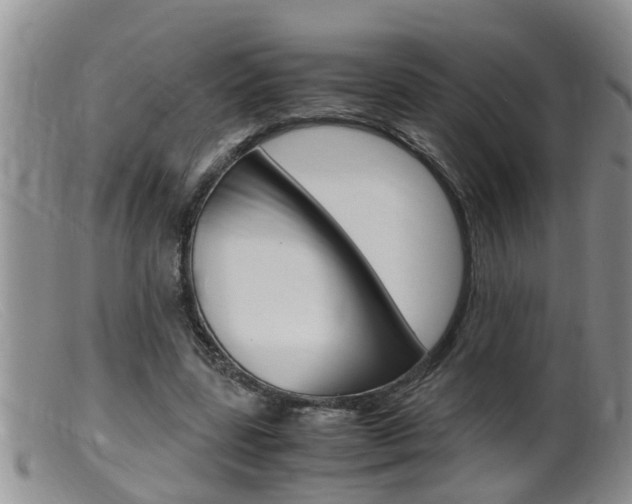 X0000099530539200805160728