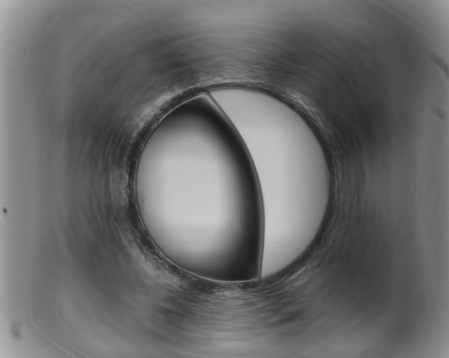 X0000099530540200805160728