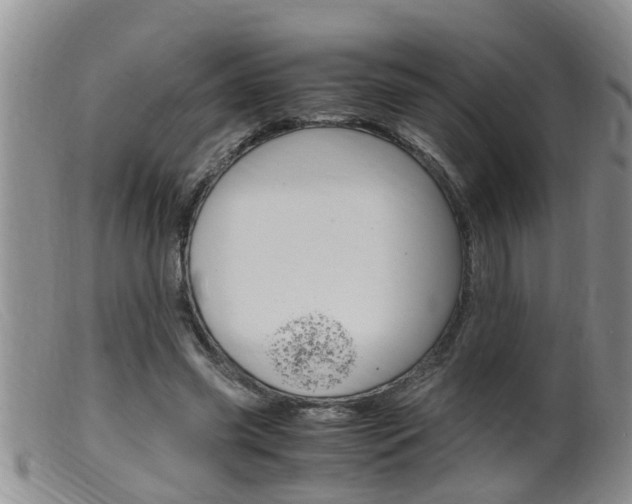 X0000099530541200805160728