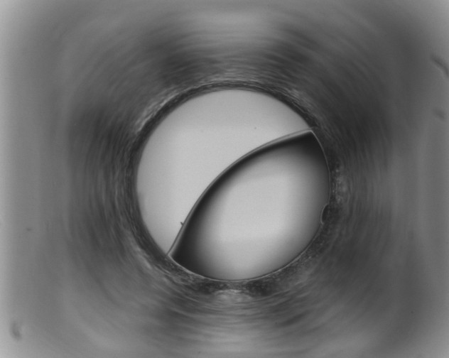X0000099530544200805160728