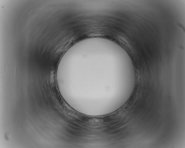 X0000099530549200805160728