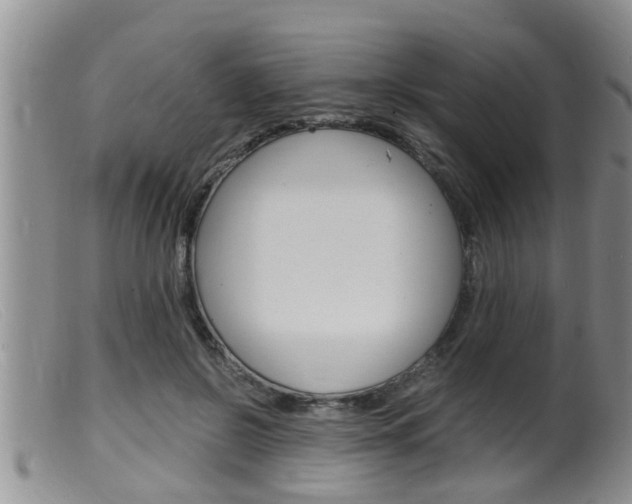 X0000099530550200805160728