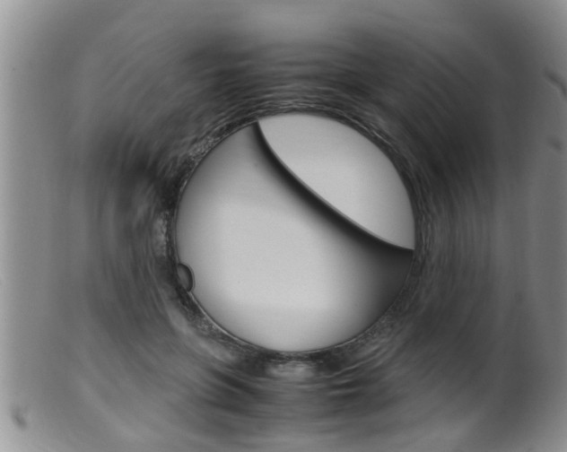 X0000099530551200805160728