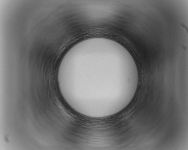 X0000099530552200805160728